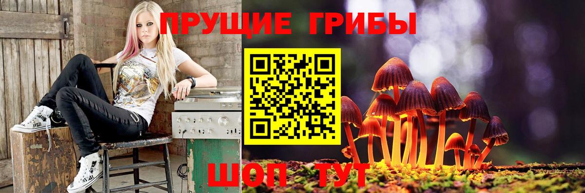 Псилоцибиновые грибы GOLDEN TEACHER Донской
