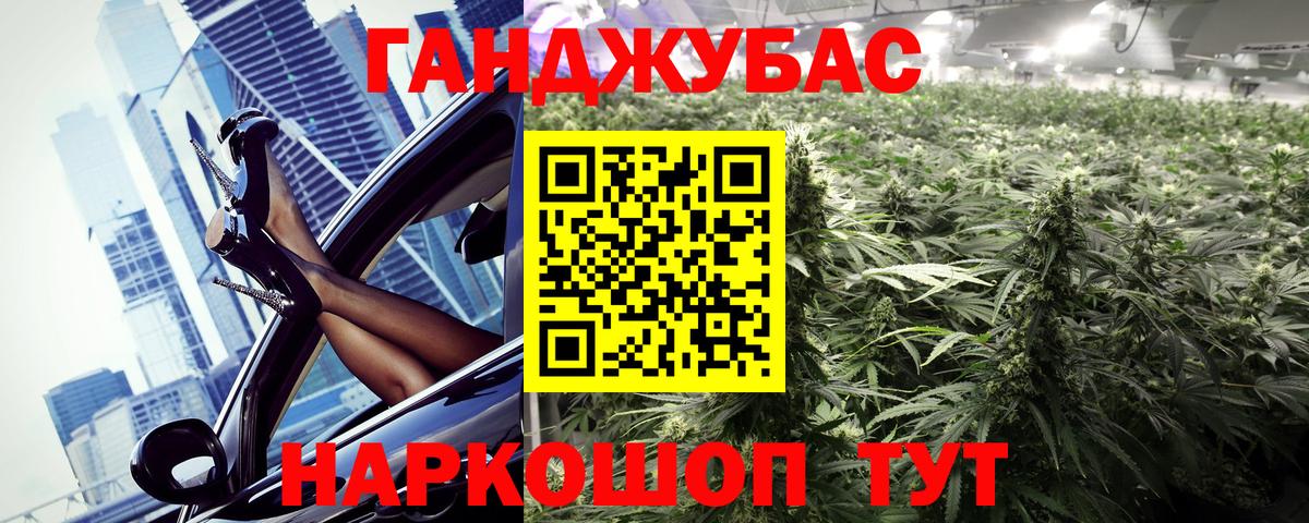 Конопля конопля Донской